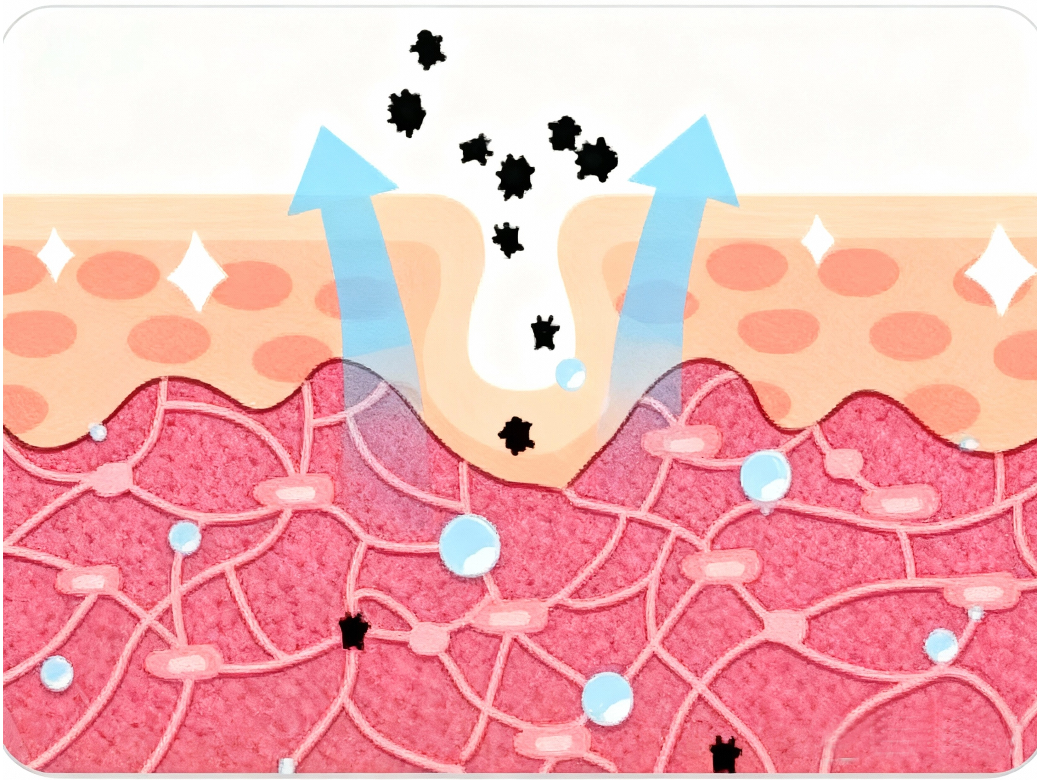 HONY D001 Antiokidant Edition: научное противодействие старению, восстановление защиты кожи